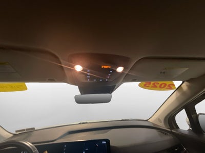 2025 Kia Carnival EX